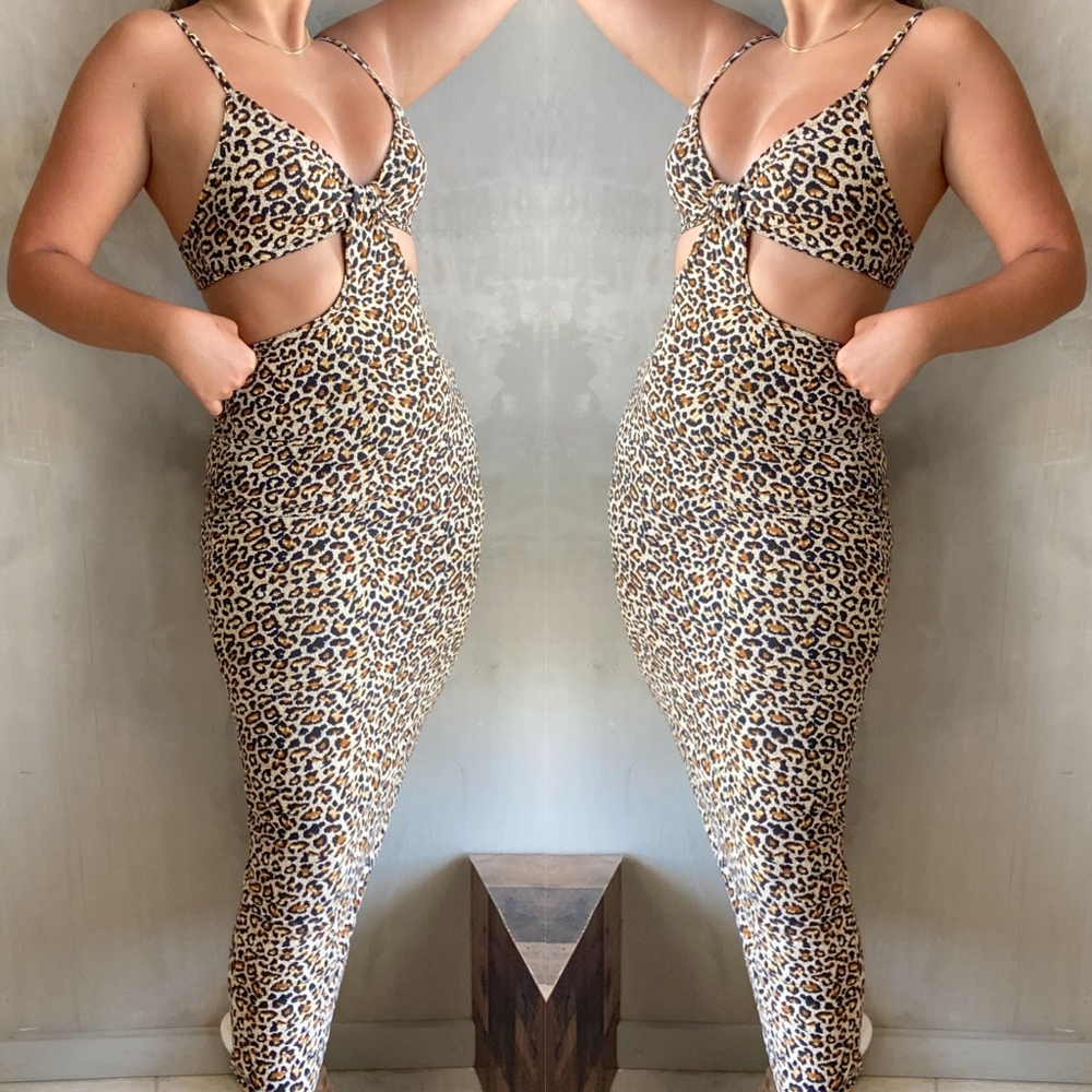 Animal Print Dress